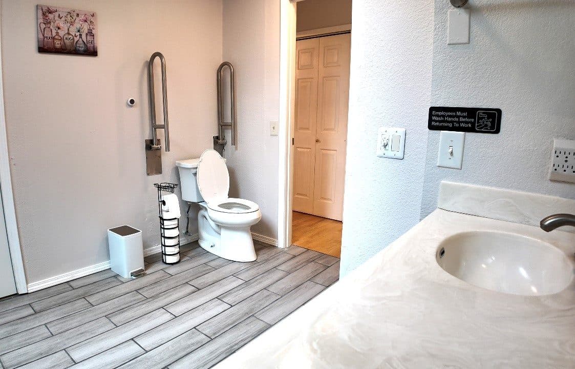 Toilet fitted with wall and floor grab bars beside an accessible vanity
